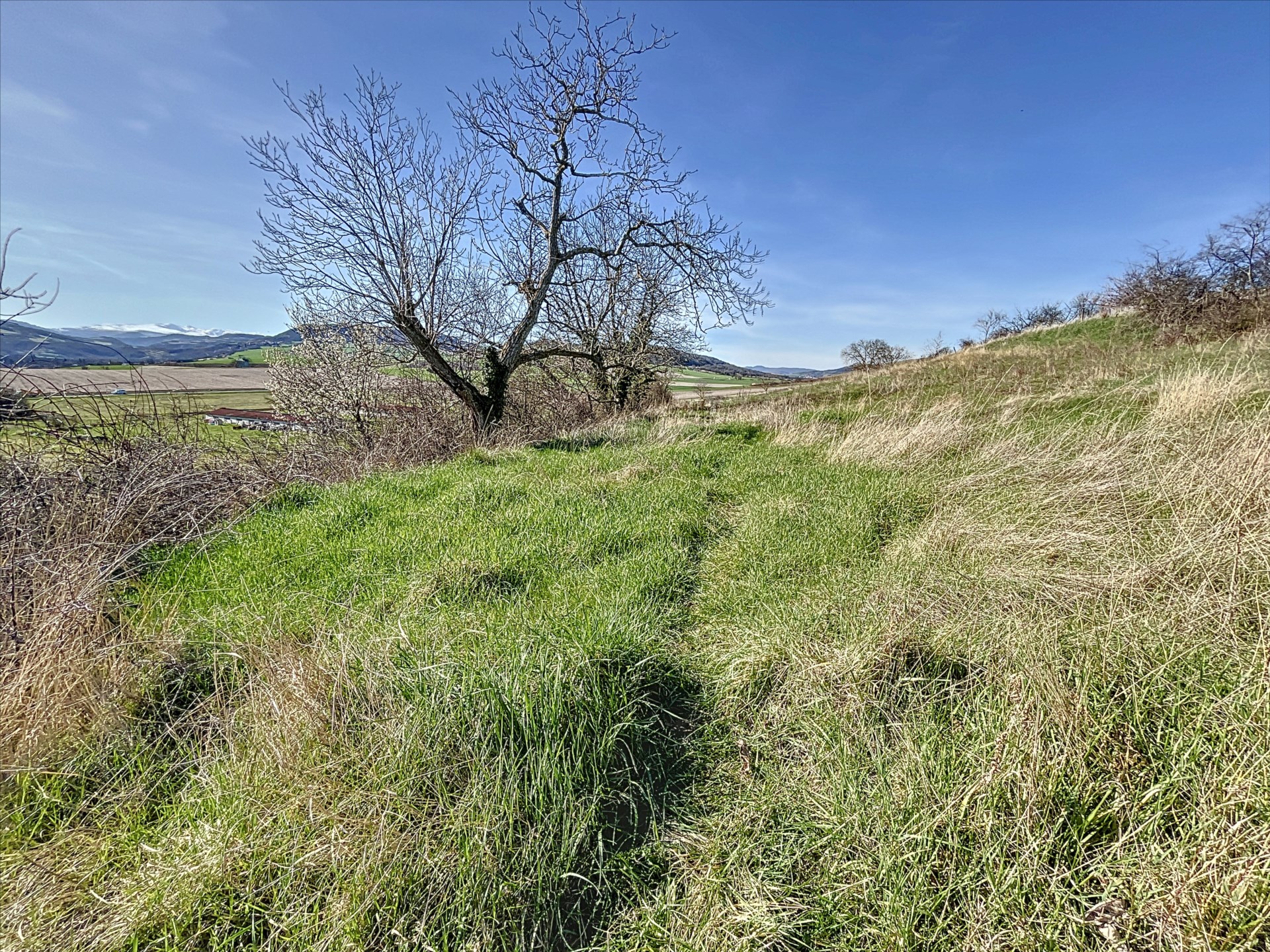 Terrain  - 7 150m²