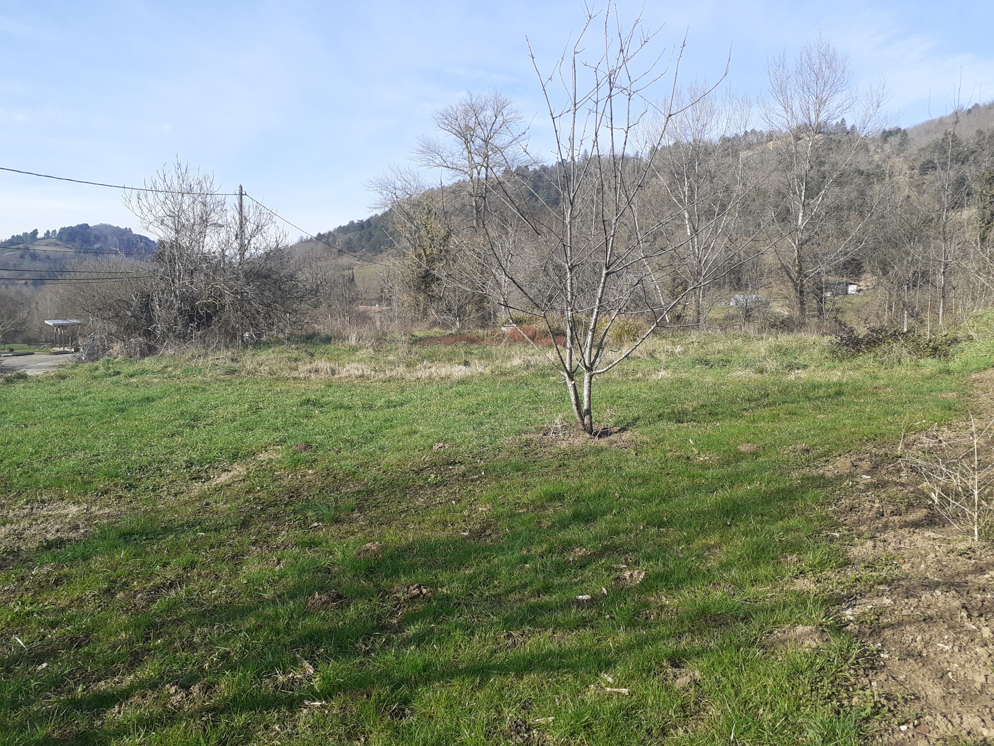 Terrain  - 1 355m² - SOUGRAIGNE