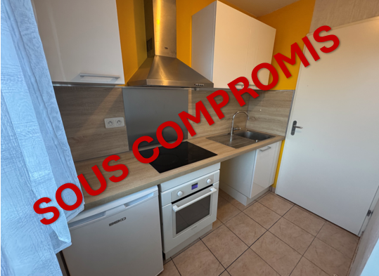 Appartement 2 pièces - 45m² - SCIONZIER