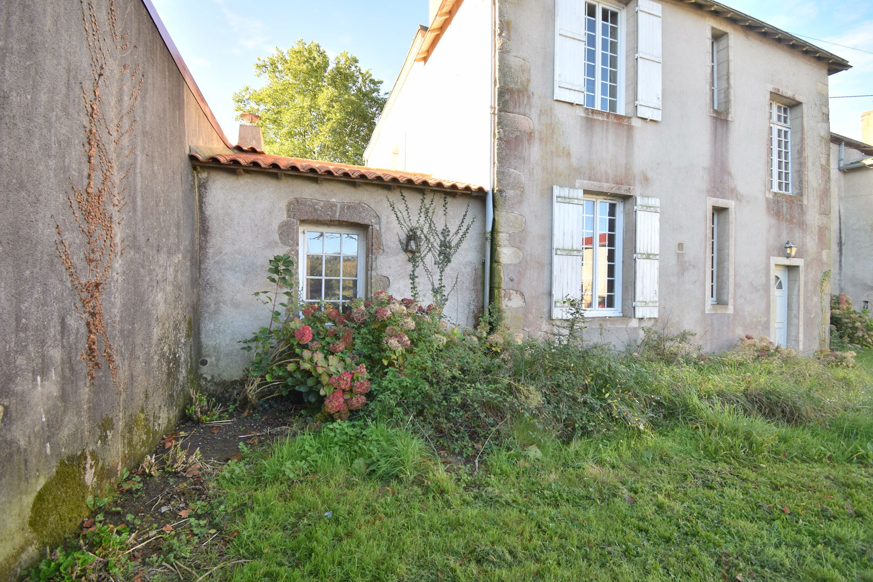 Maison 8 pièces - 241m² - VIEILLEVIGNE