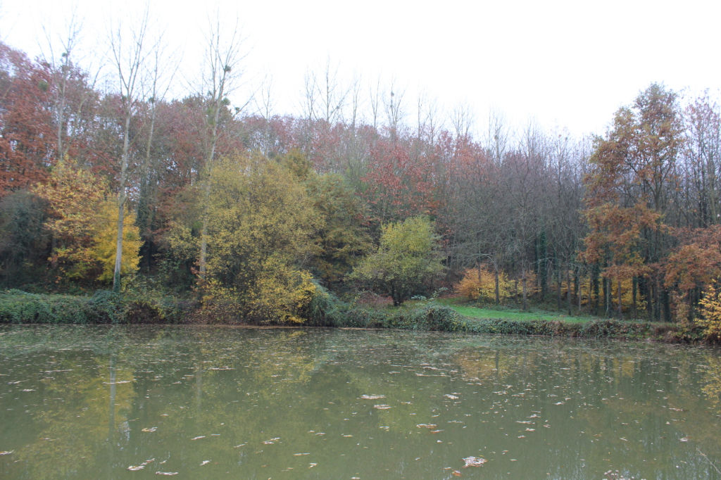 Terrain  11 260m² 