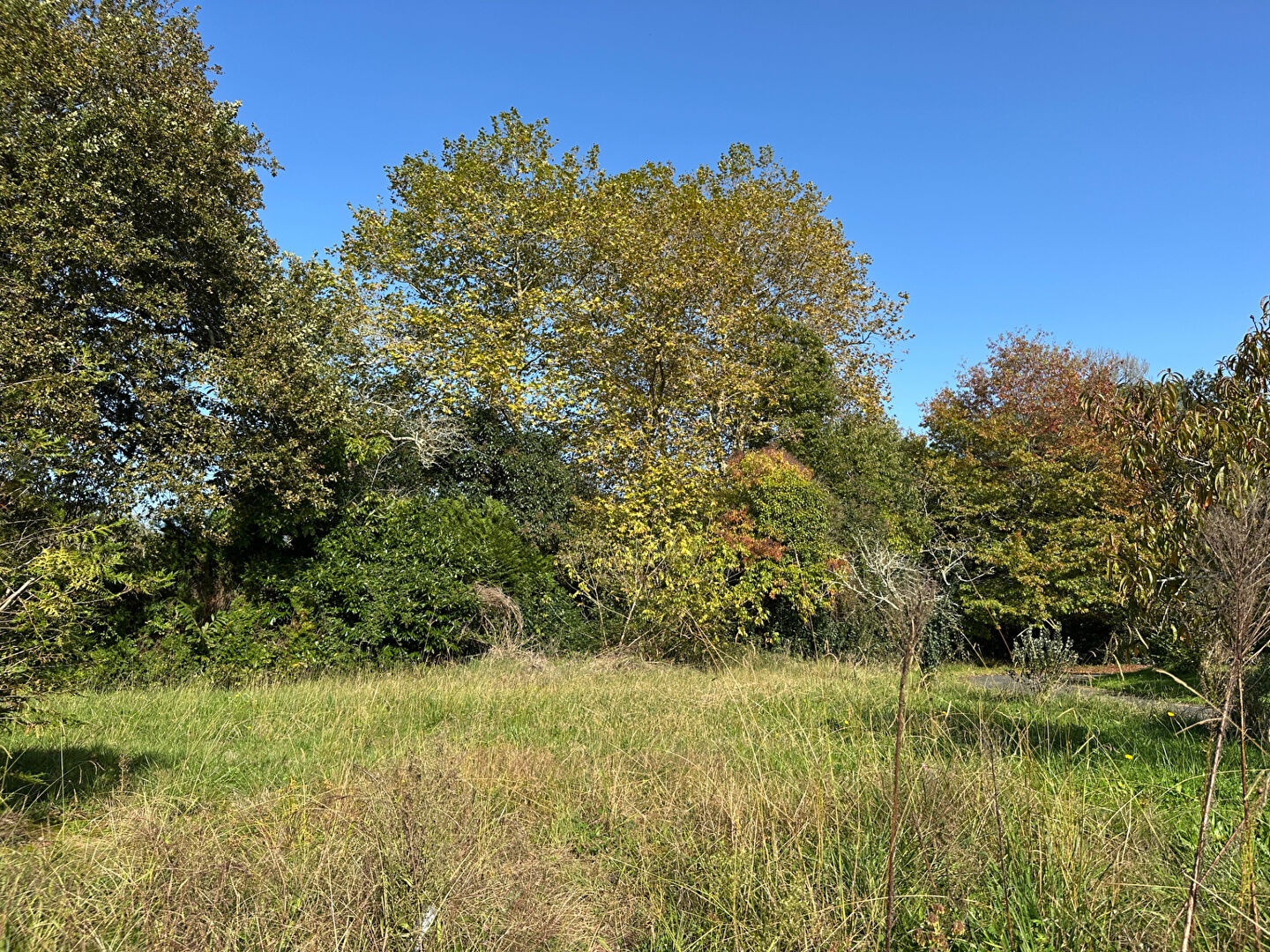 Terrain  841m² 