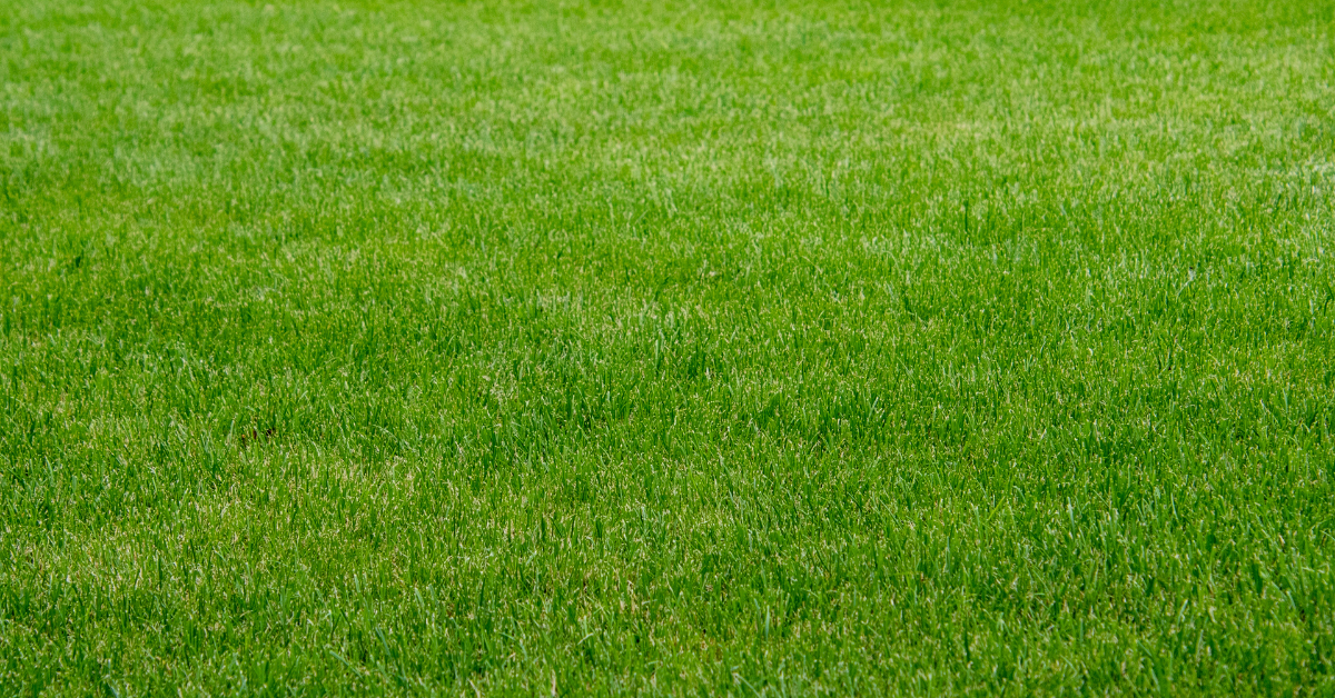 Terrain  2 055m² ROUVRES 14190 ROUVRES