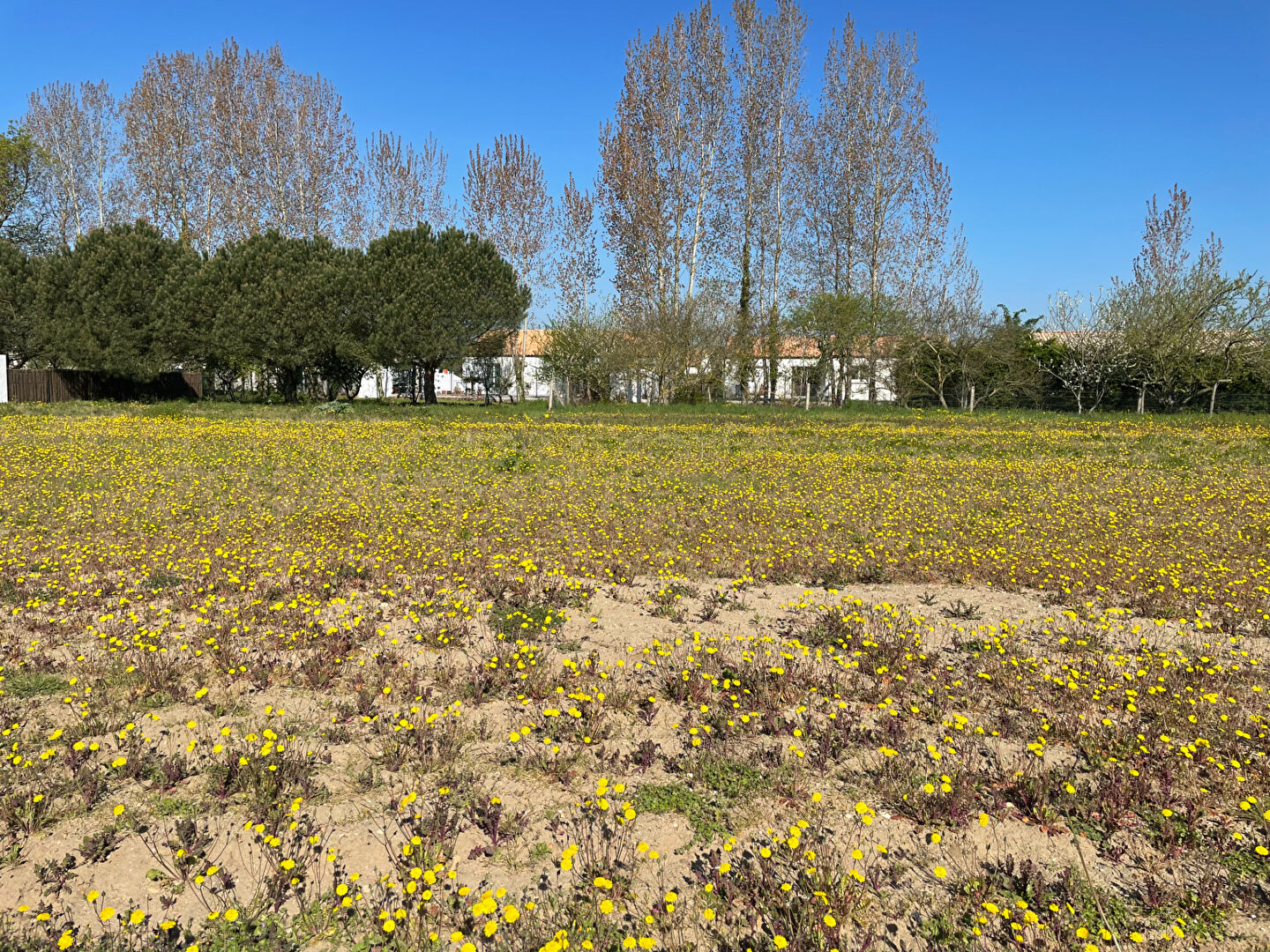 Terrain  879m² 
