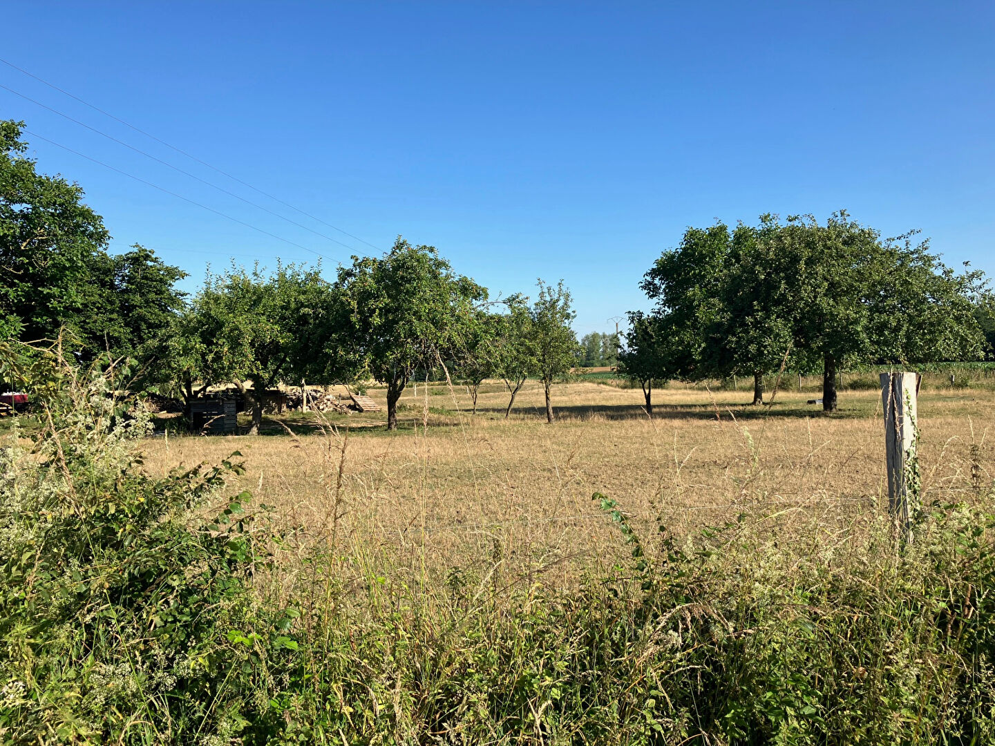 Terrain  800m² 