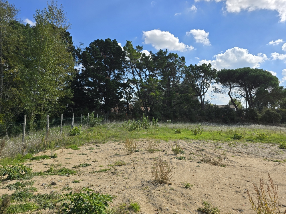 Terrain  553m² ST JEAN DE MONTS 85160 ST JEAN DE MONTS