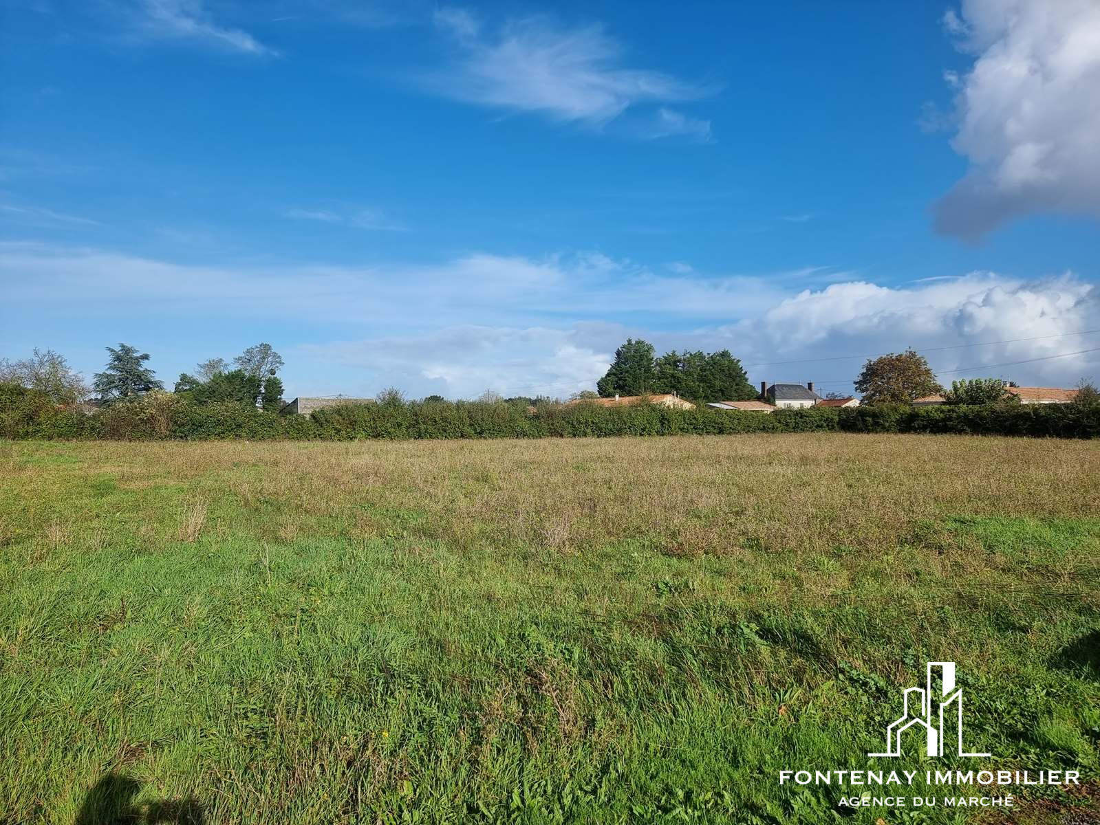 Terrain  968m² PETOSSE 85570 PETOSSE