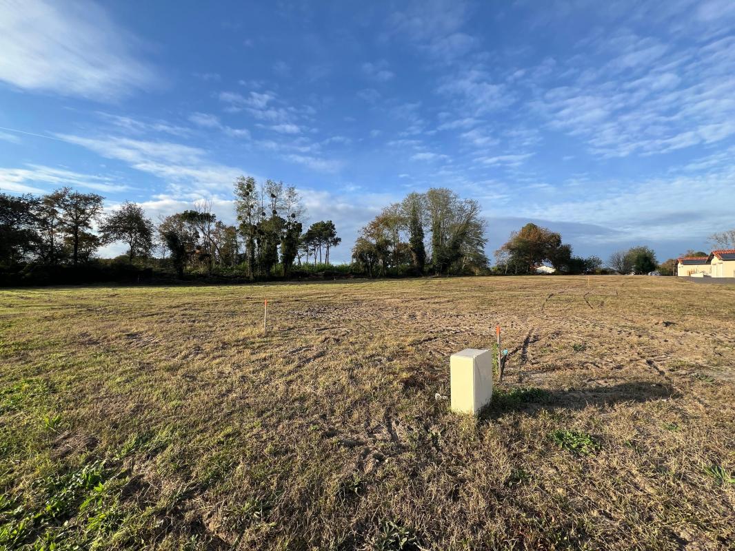 Terrain  1 180m² ROQUEFORT 40120 ROQUEFORT