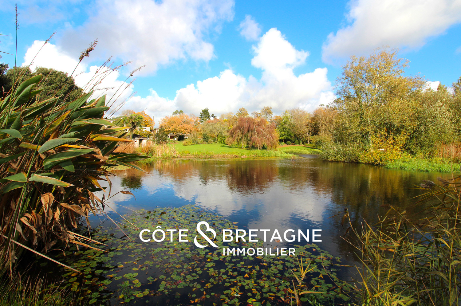 Ouvrir le diaporama et voir plus de photos