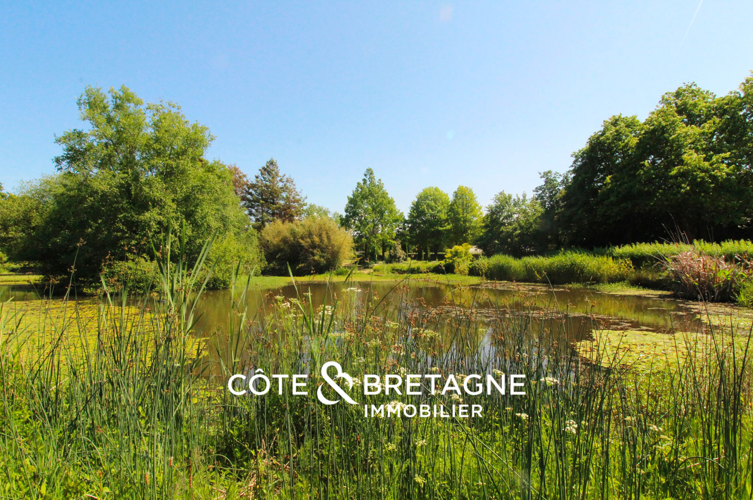 Ouvrir le diaporama et voir plus de photos