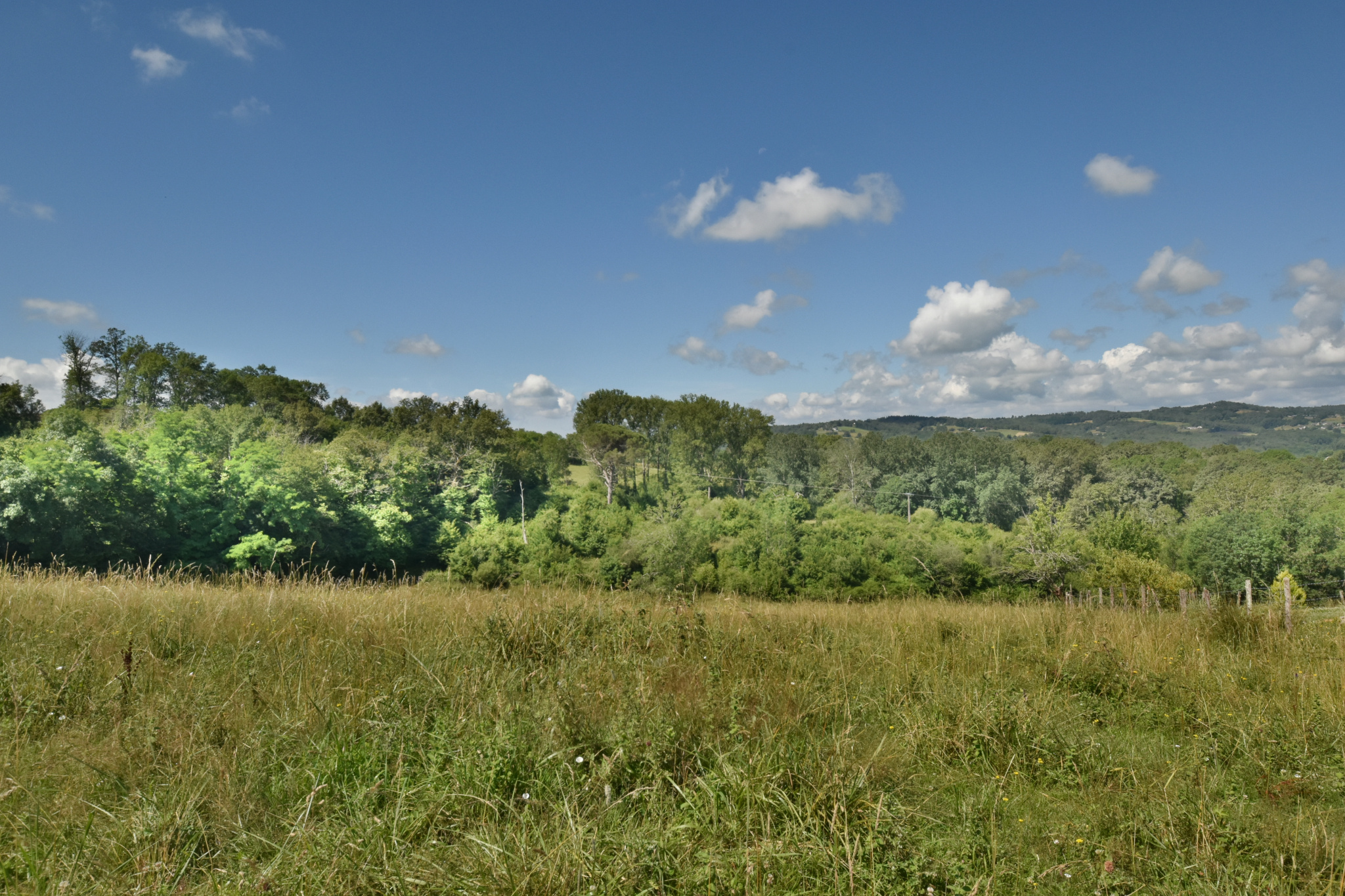 Terrain  3 376m² MANSAC 19520 MANSAC