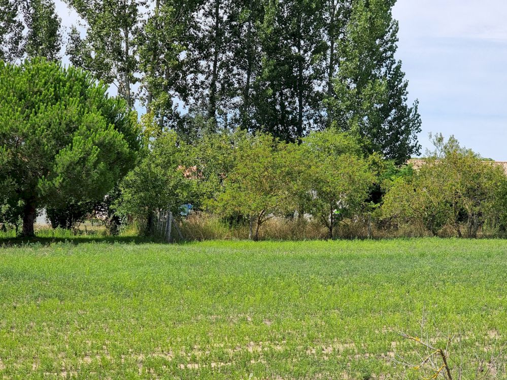 Terrain  879m² ST JEAN DE MONTS 85160 ST JEAN DE MONTS