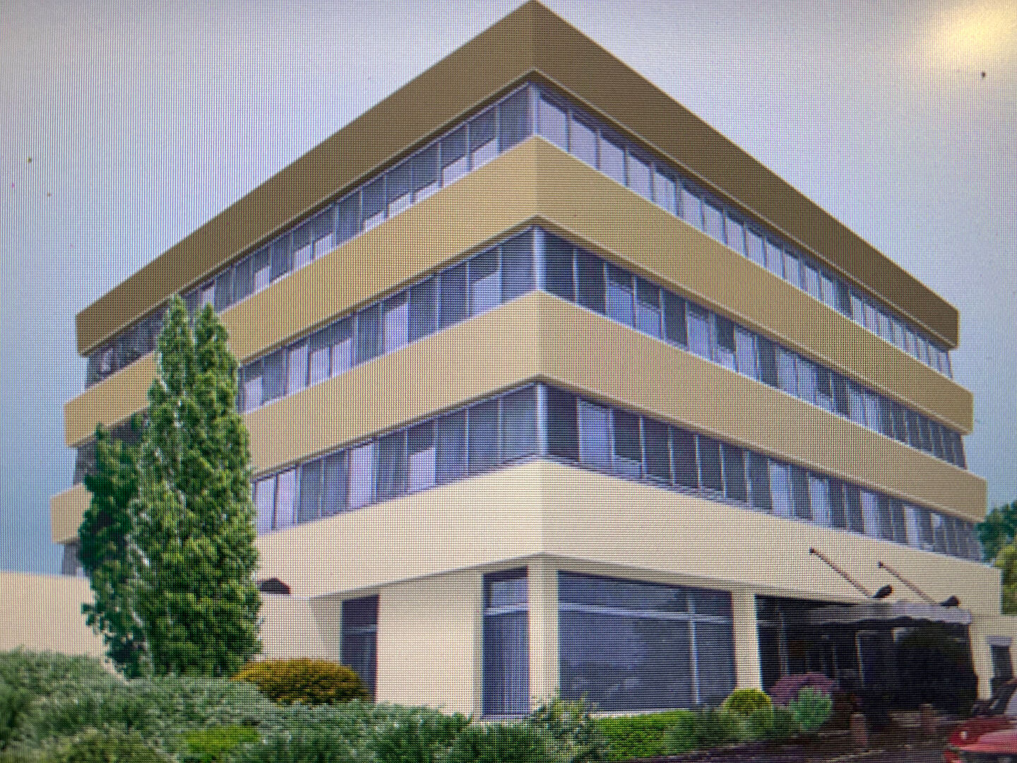 Local Professionnel  1 285m² 