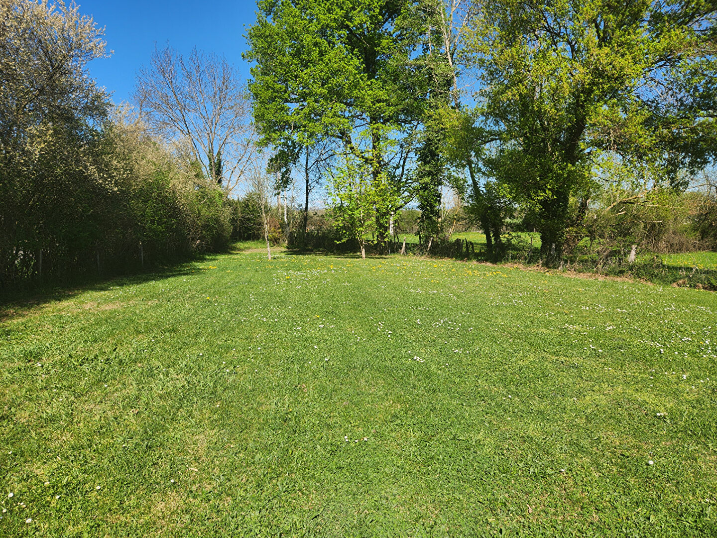 Terrain 781m²
