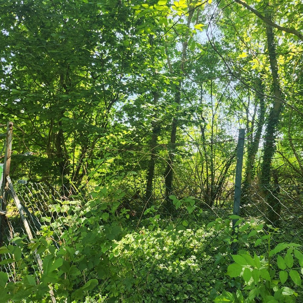 Terrain  472m² CLERMONT 60600 CLERMONT