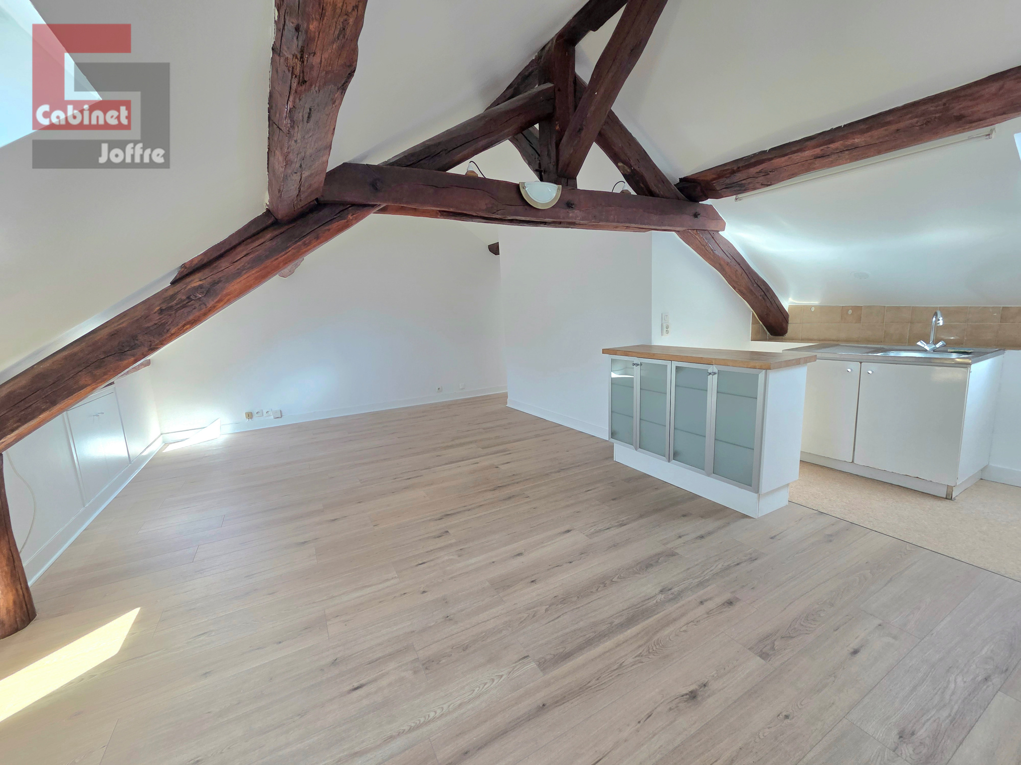 Appartement 1 pièce 18m² FONTAINEBLEAU 77300