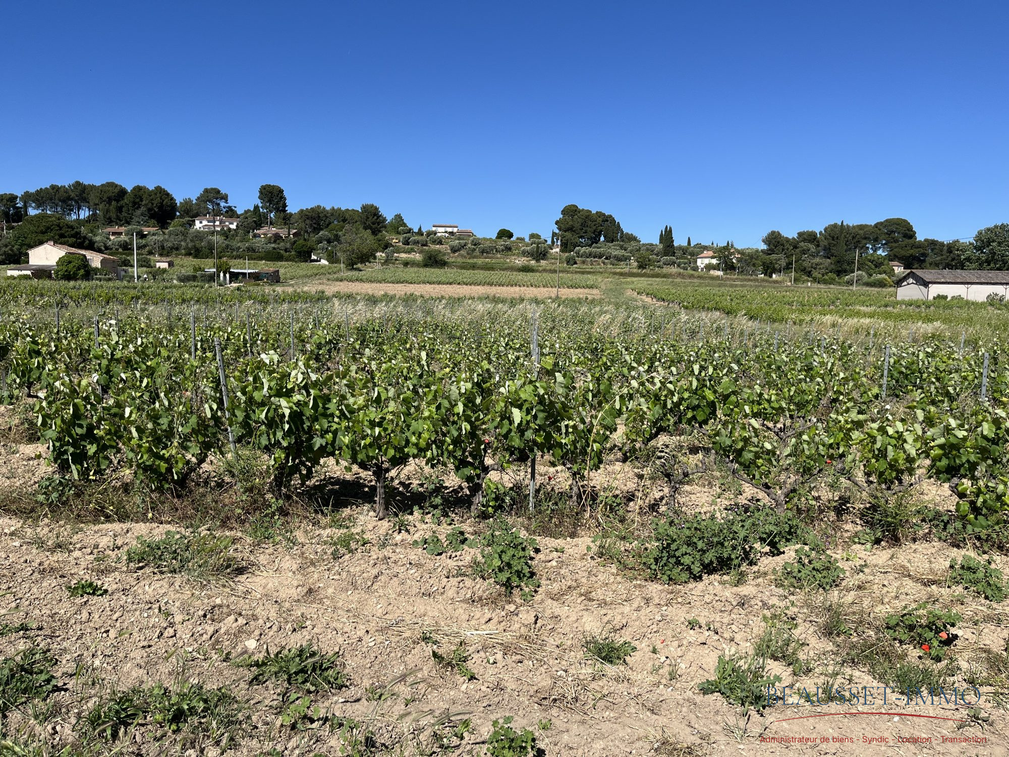 Terrain  4 420m² LE CASTELLET 83330 LE CASTELLET