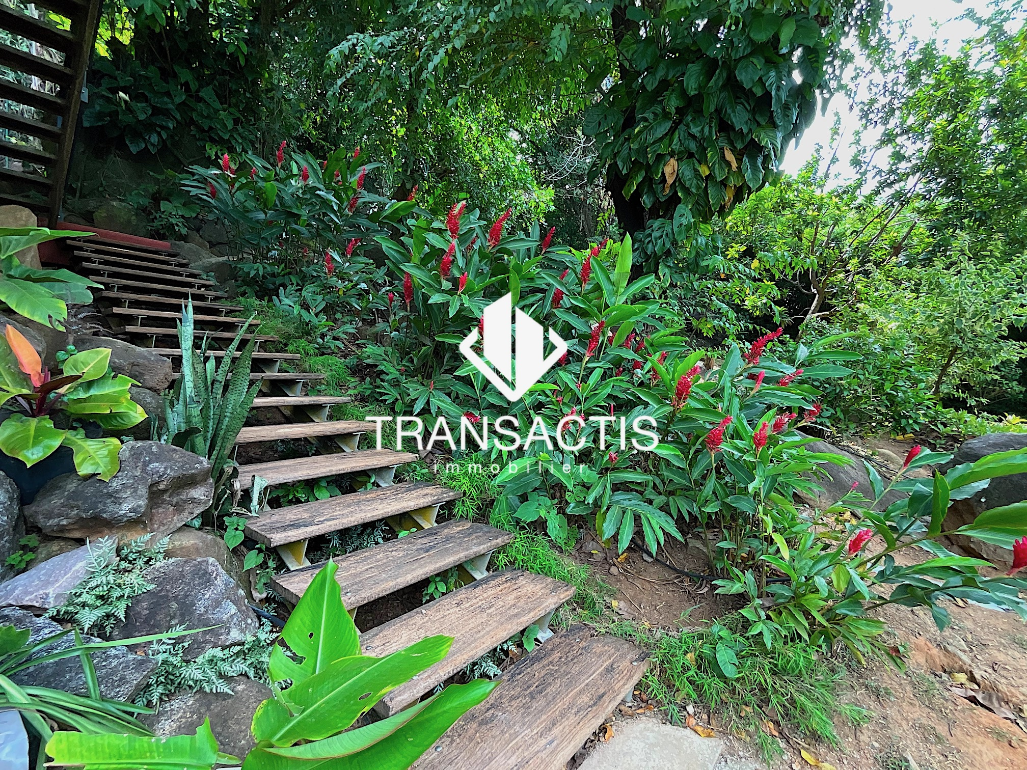 Maison – REMIRE MONTJOLY GUYANE DROM - Vue 4