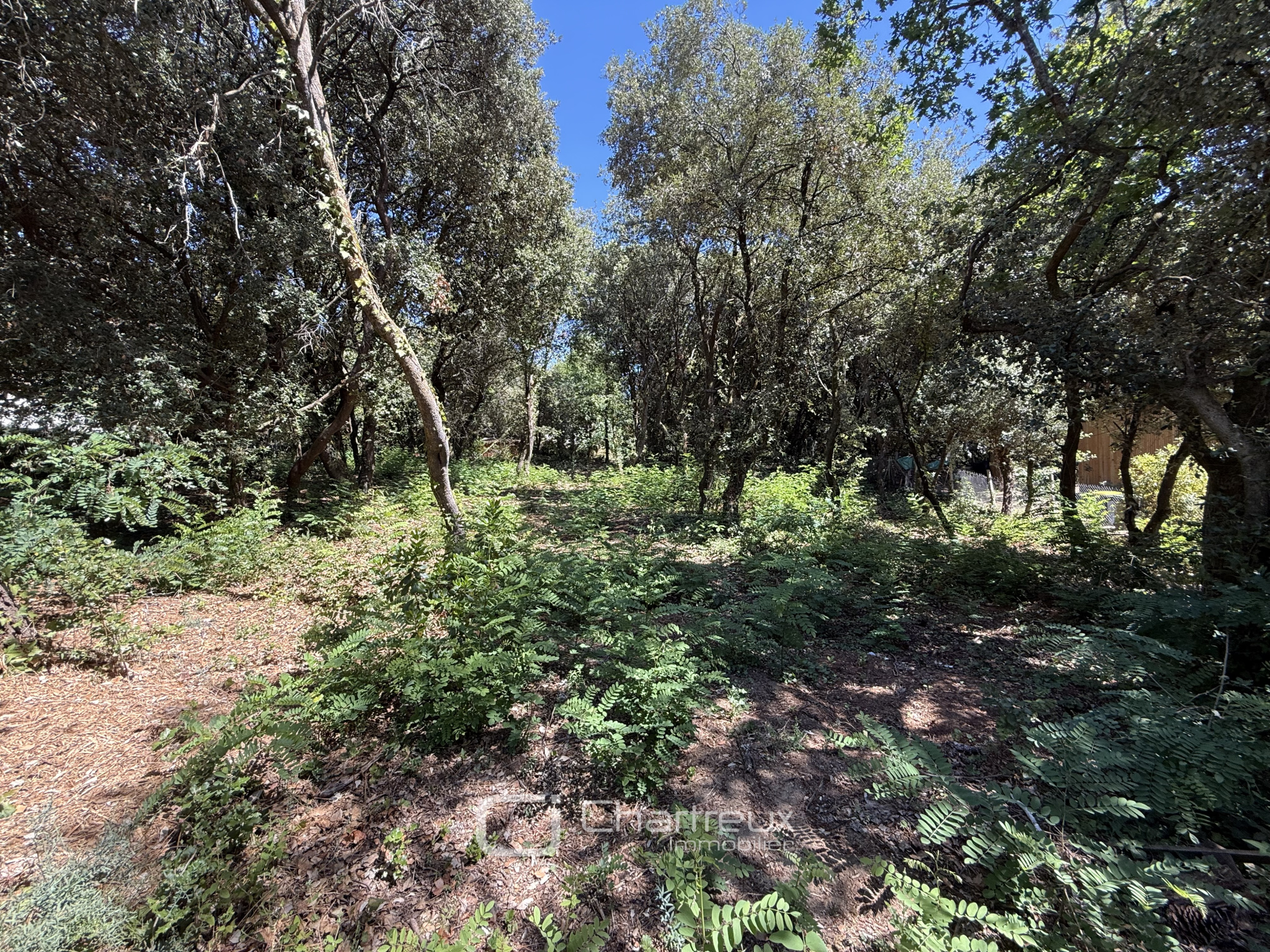 Terrain 1200 m² · à Saint-Palais-sur-Mer · 1 200 m² · 904 000 €