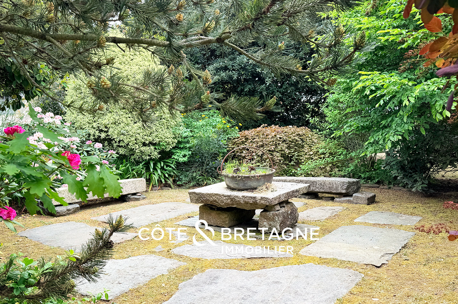 Ouvrir le diaporama et voir plus de photos