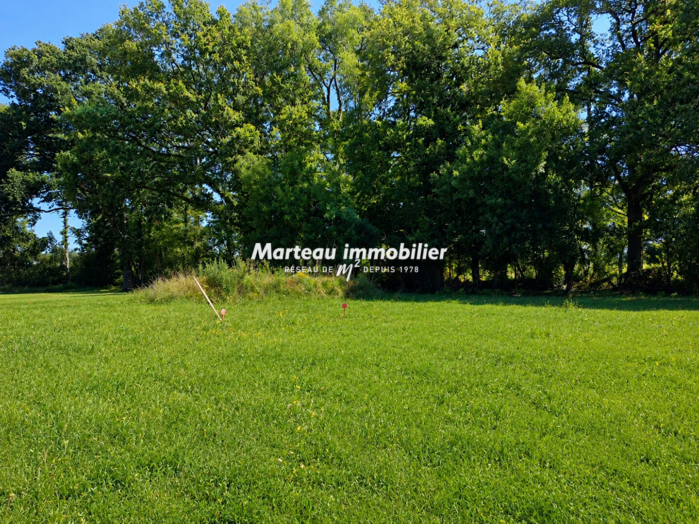 Terrain  735m² 