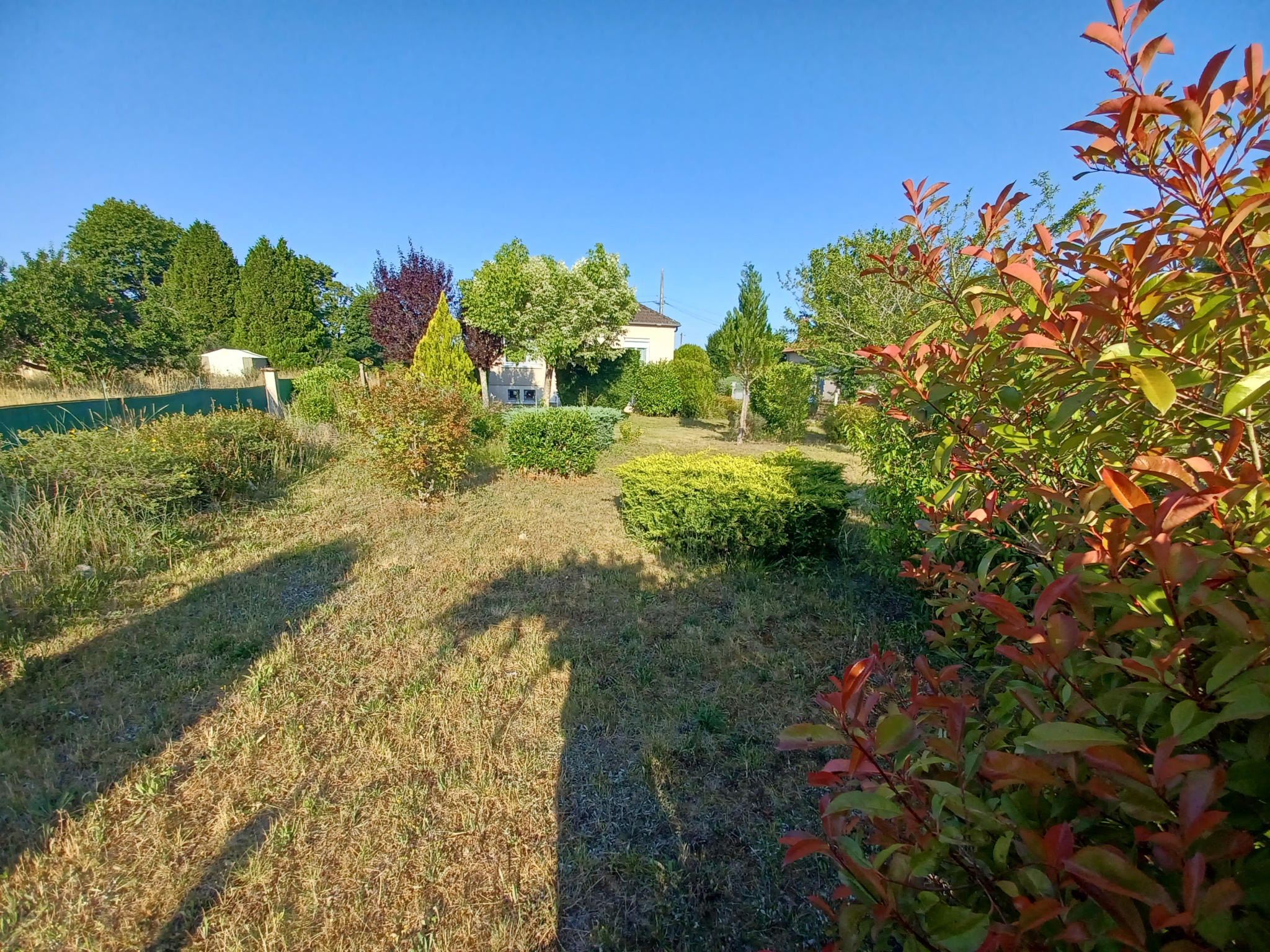 Maison – Sancergues, Les Plantes - Vue 5