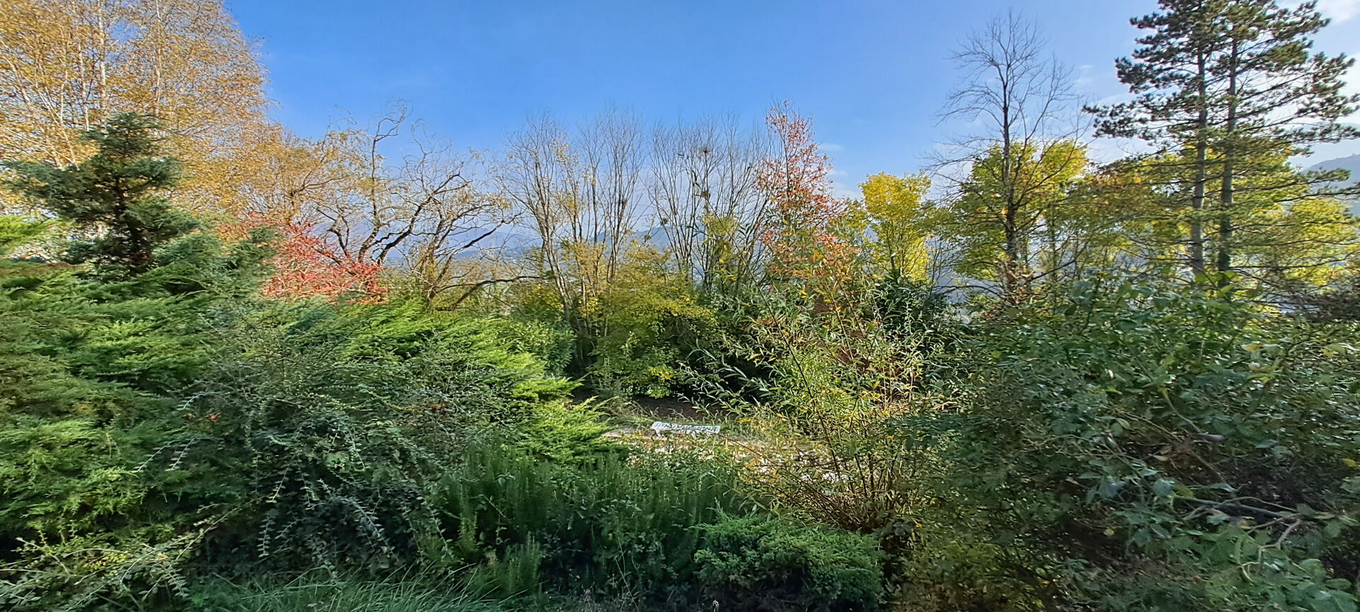 Terrain  960m² 