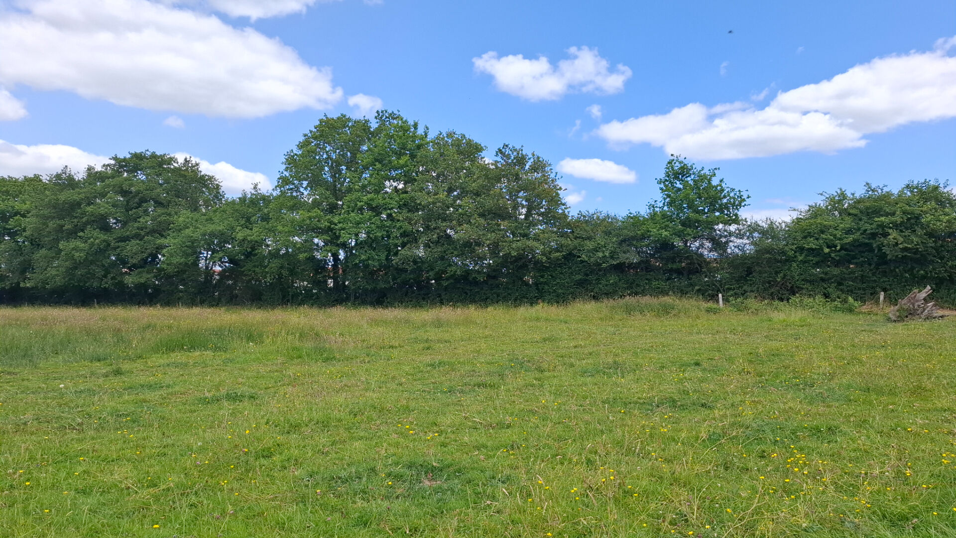 Achat Terrain 601m² - Vue 2