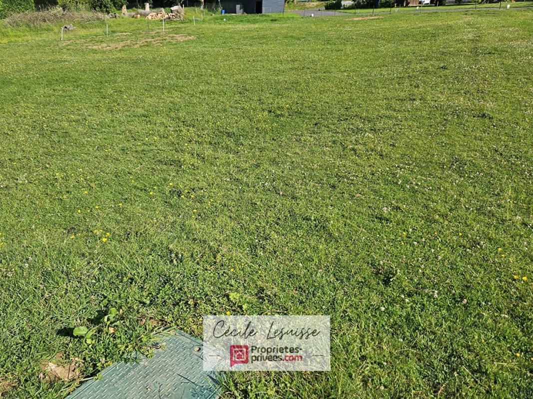 Achat Terrain 1 054m² ST ANTOINE LA FORET 76170 - Vue 5