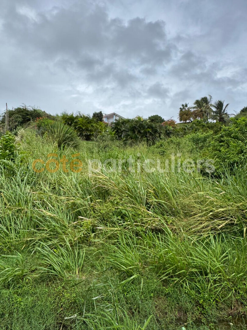 Achat Terrain 1 735m² - Vue 2