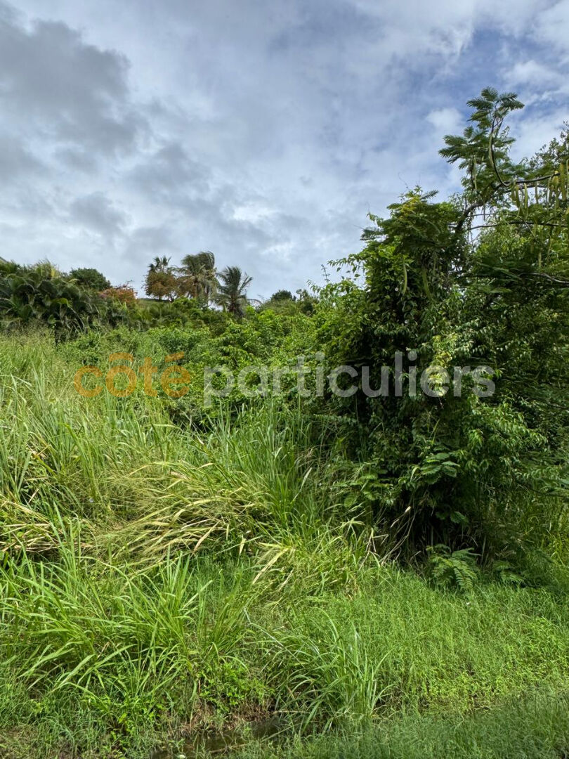 Achat Terrain 1 735m² - Vue 3