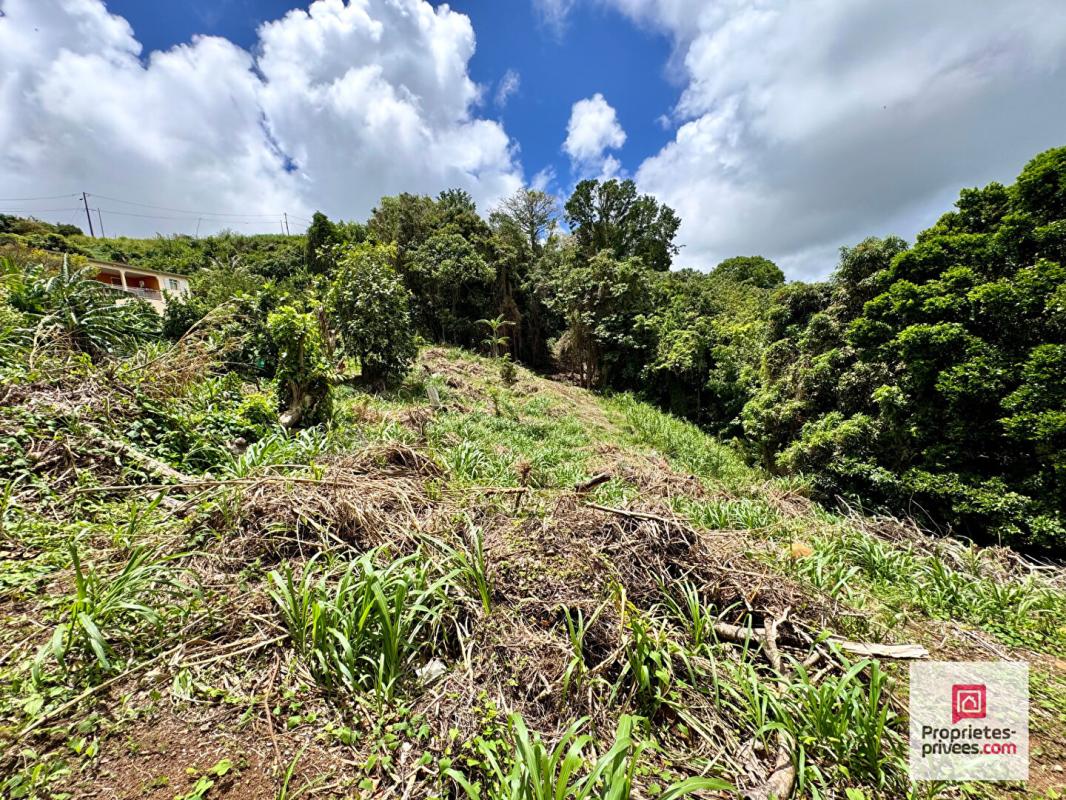 Achat Terrain 5 730m² STE LUCE 97228 - Vue 2