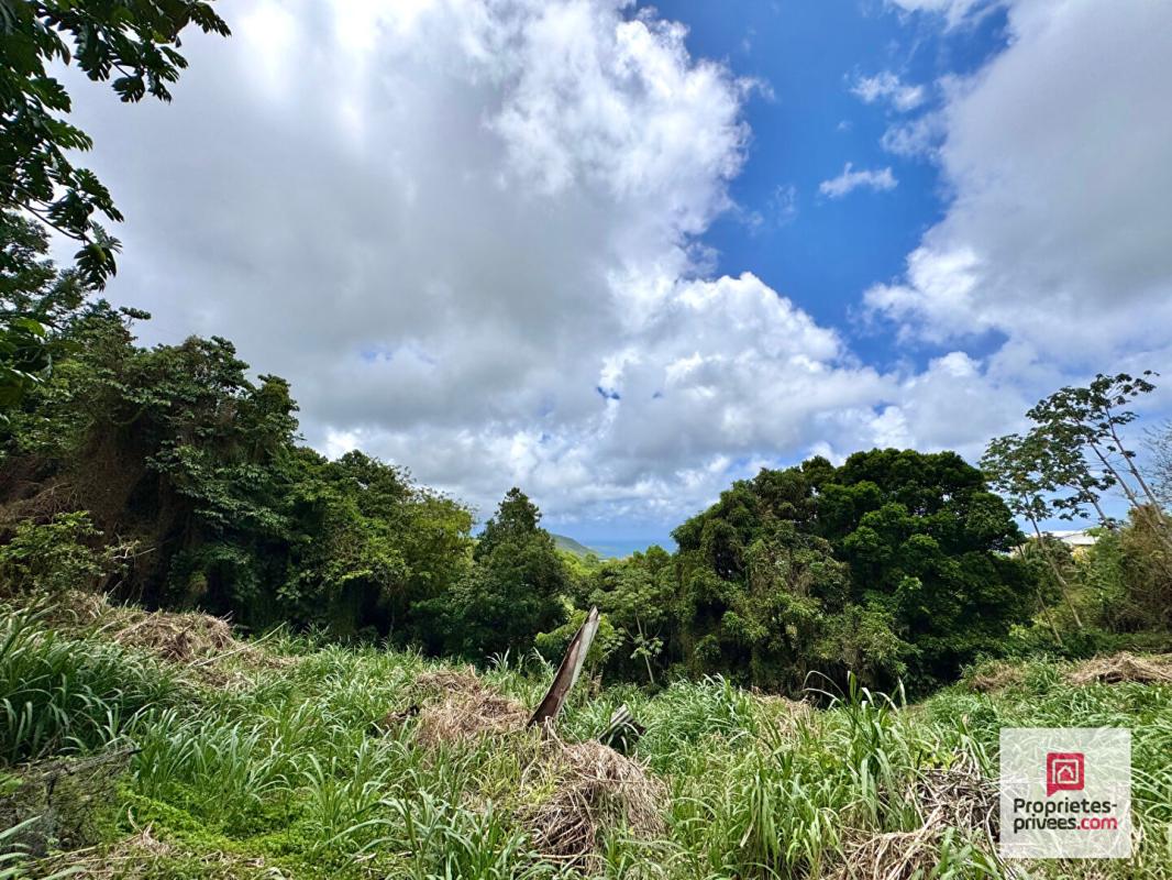 Achat Terrain 5 730m² STE LUCE 97228 - Vue 3