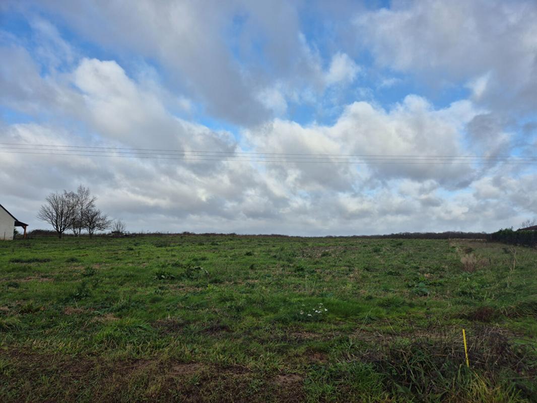 Achat Terrain 4 500m² SAUNAY 37110 - Vue 2