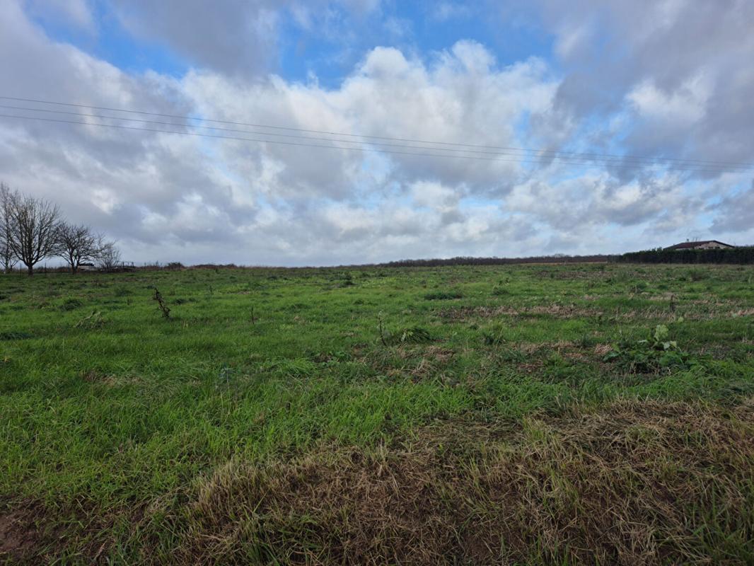 Achat Terrain 4 500m² SAUNAY 37110 - Vue 3