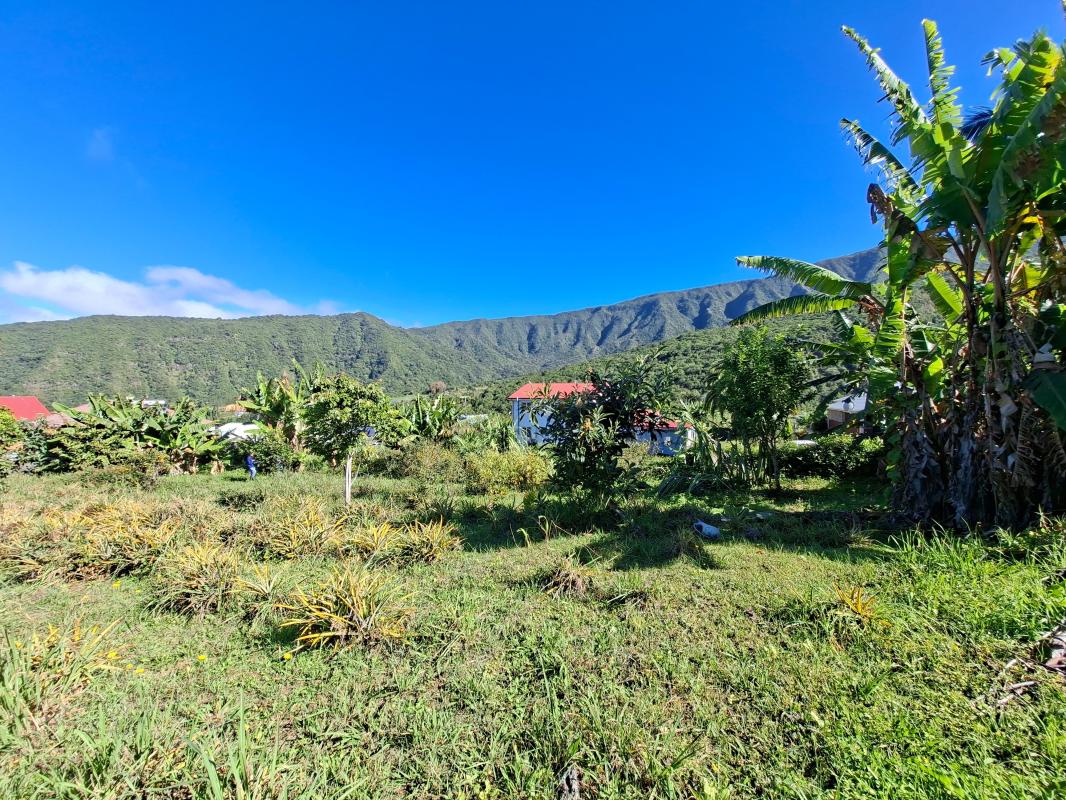 Achat Terrain 407m² LA RIVIERE 97421