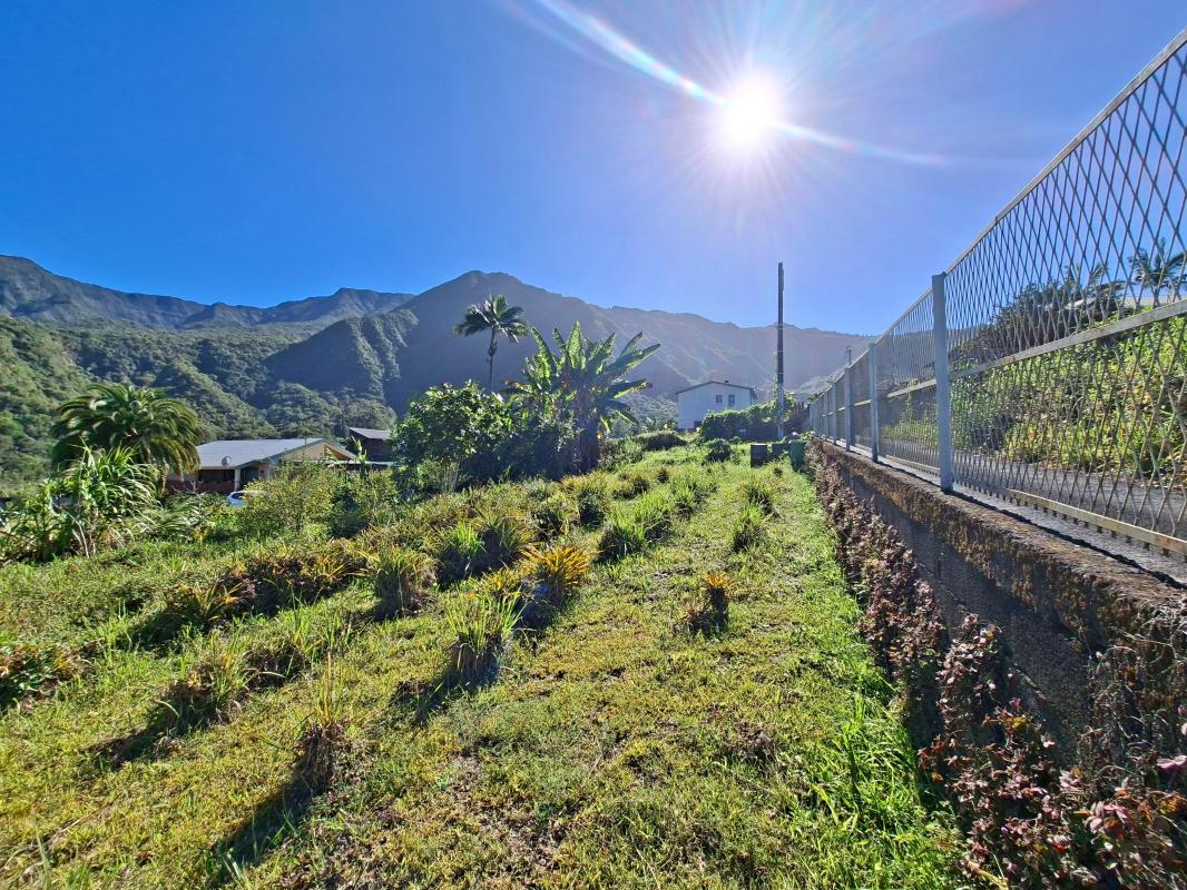 Achat Terrain 407m² LA RIVIERE 97421 - Vue 3