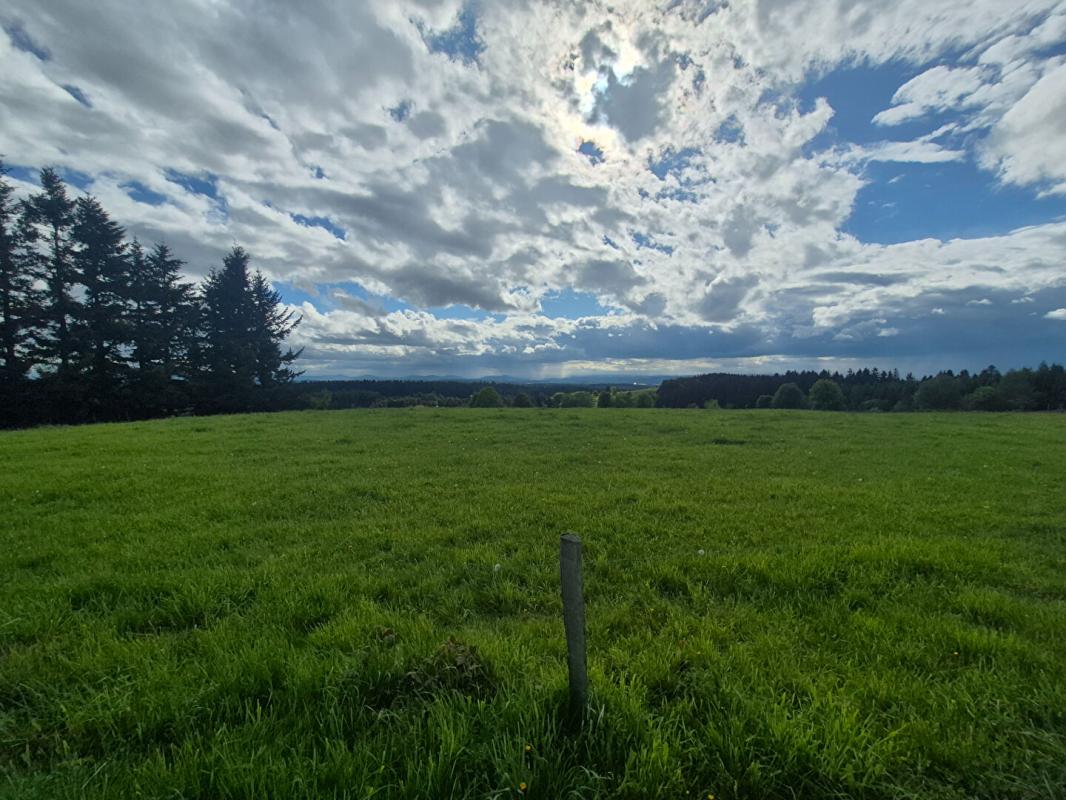 Terrain 1585 m² · à St Genest Malifaux · 1 585 m² · 160 000 €