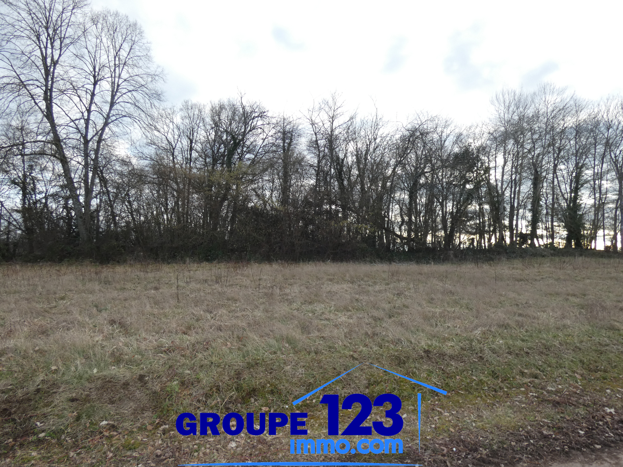 Achat Terrain 869m² ARCES DILO 89320