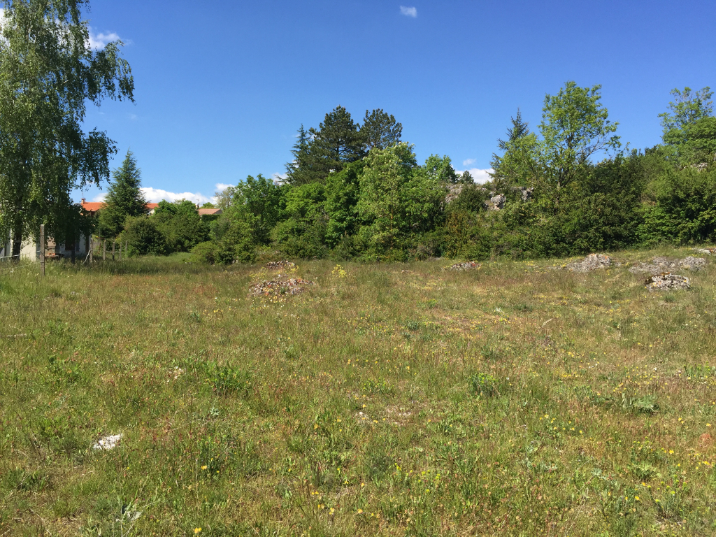 Achat Terrain 2 354m² LE CAYLAR 34520 - Vue 2