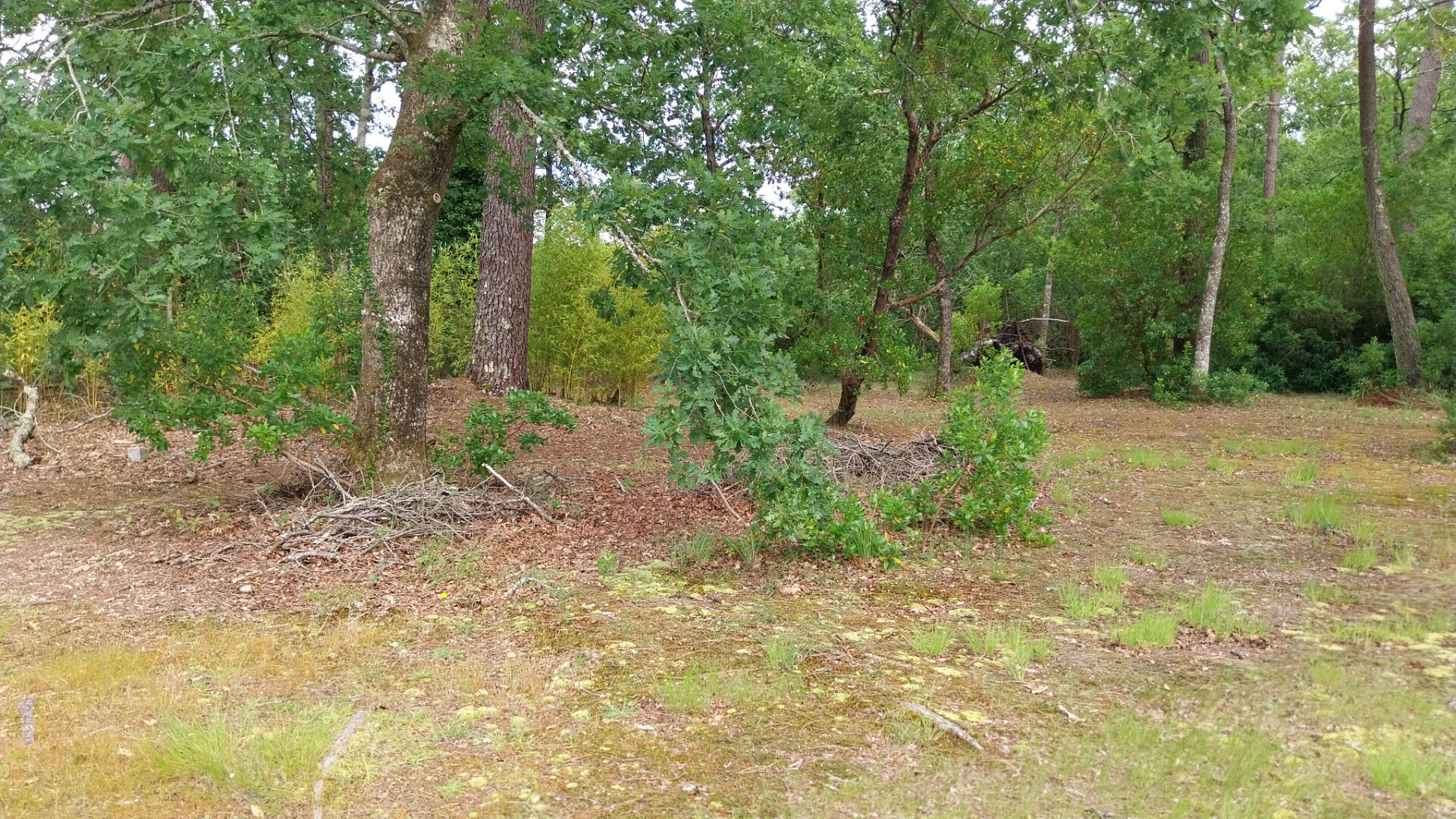 Achat Terrain 1 690m²