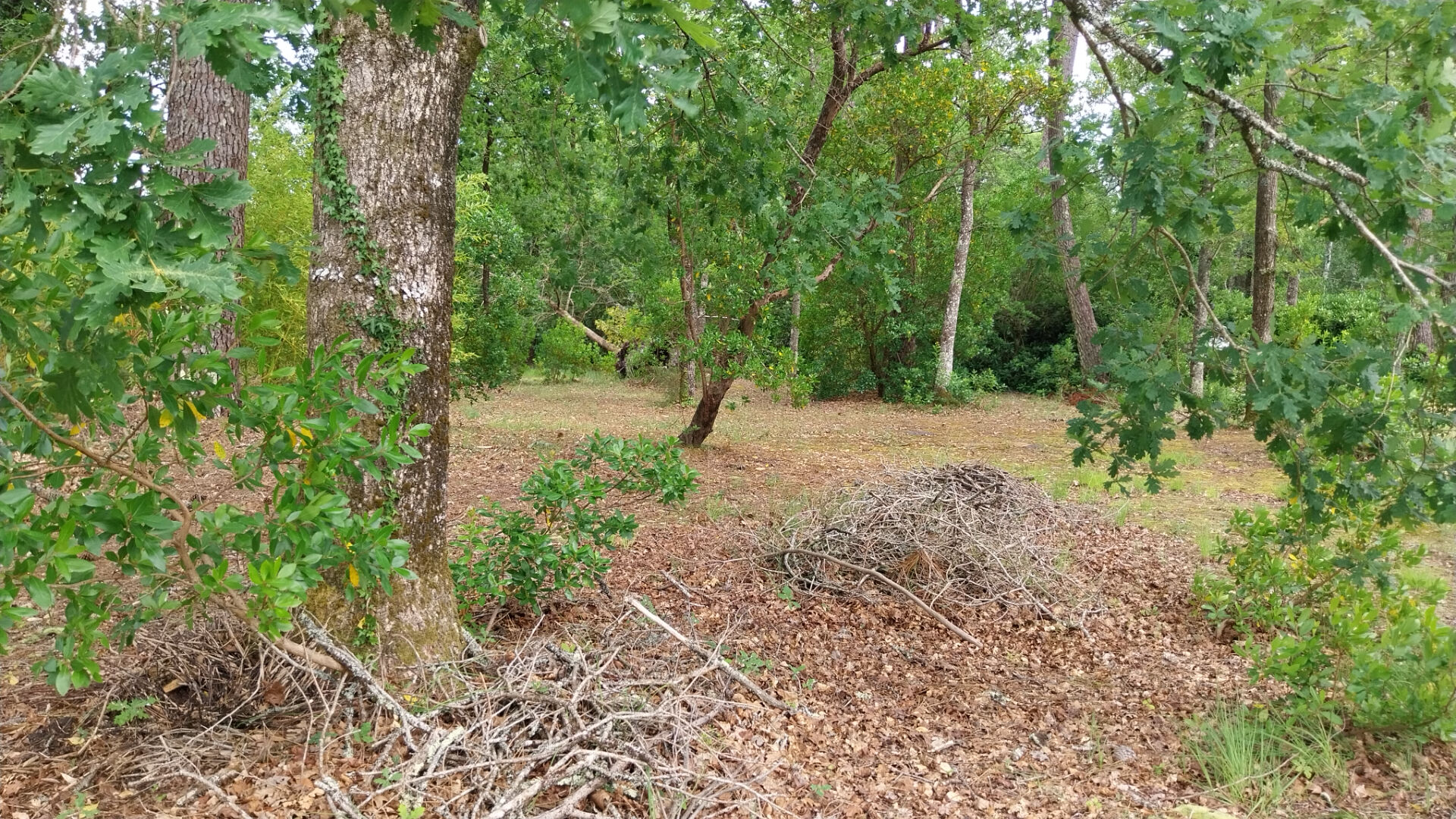 Achat Terrain 1 690m² - Vue 3