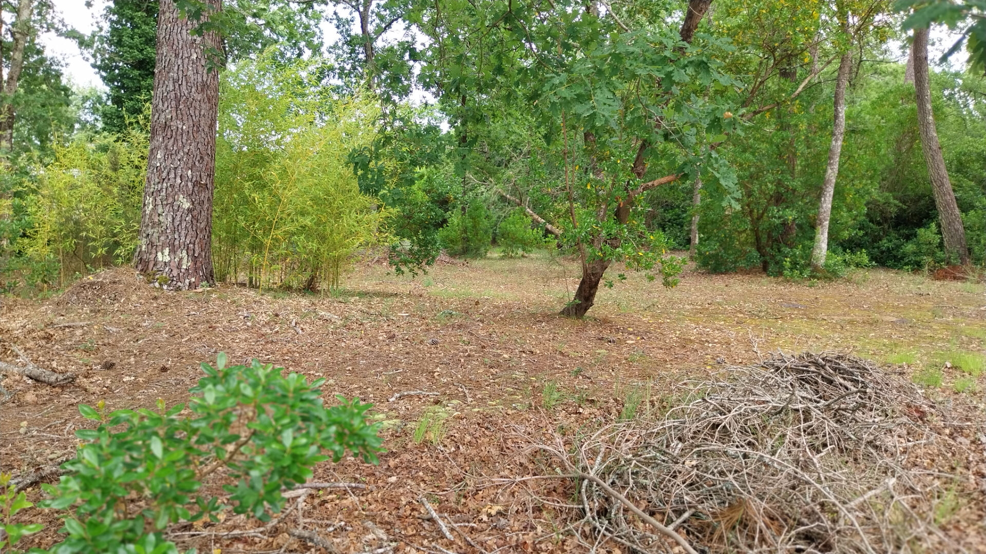 Achat Terrain 1 690m² - Vue 4