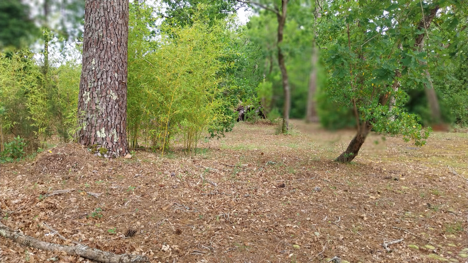Achat Terrain 1 690m² - Plus