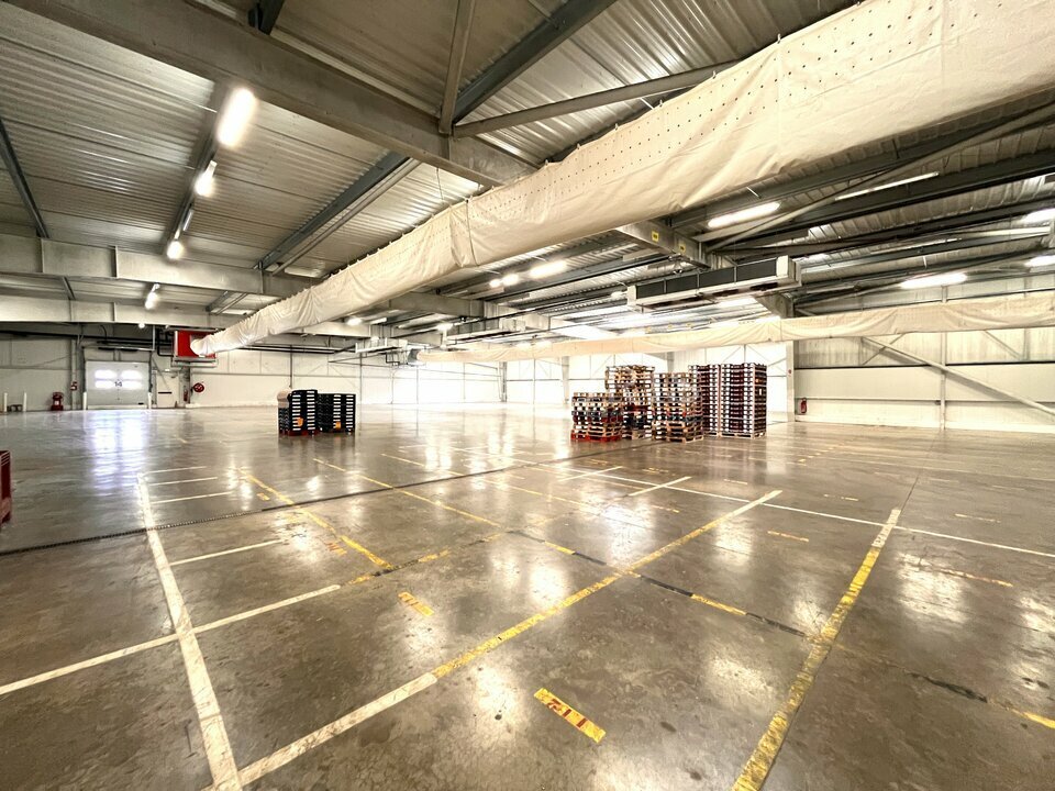 Local commercial 10235 m² · à Chateaurenard · 10 235 m² · 51 175 €/mois