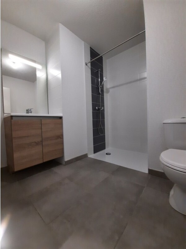 Appartement – TOULOUSE HAUTE-GARONNE OCCITANIE - Plus