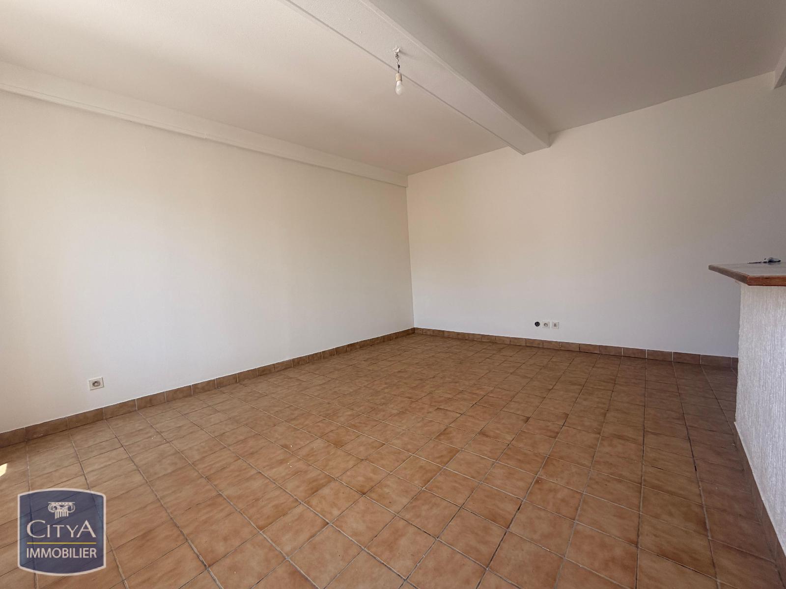 Appartement – NEUVILLE SUR SAONE RHONE AUVERGNE-RHÔNE-ALPES - Vue 4
