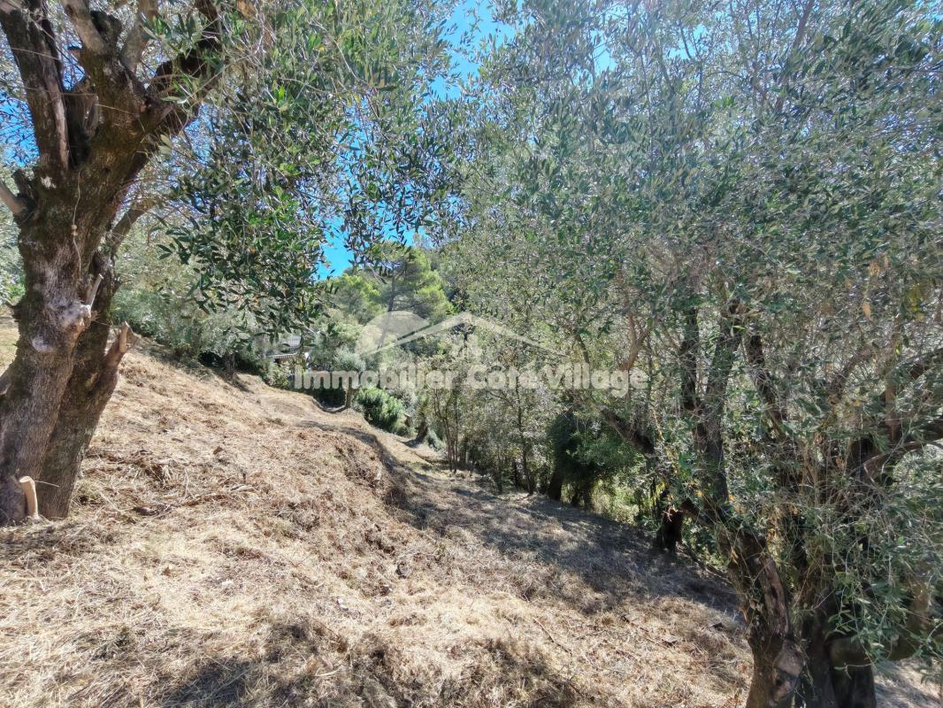 Achat Terrain 2 700m² ST ANDRE DE LA ROCHE 06730 - Vue 4
