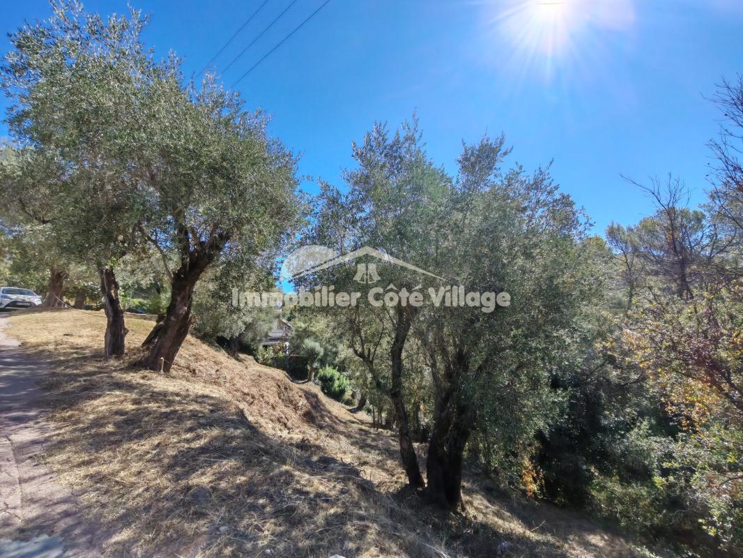Achat Terrain 2 700m² ST ANDRE DE LA ROCHE 06730 - Vue 5