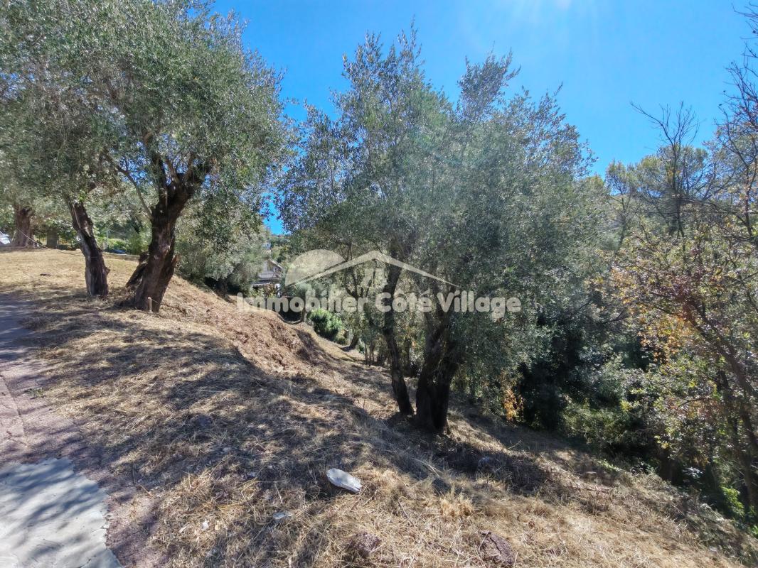 Achat Terrain 2 700m² ST ANDRE DE LA ROCHE 06730 - Plus